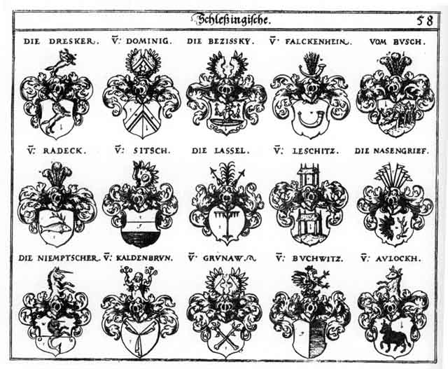 Coats of arms of Aulockh, Bezisky, Buchwitz, Busch, Dominig, Dresker, Falckenhein, Grienawer, Grünaw, Kaldenbrun, Kaltenprun, Lassel, Leschitz, Nasengrief, Niemptscher, Radeck, Sitsch