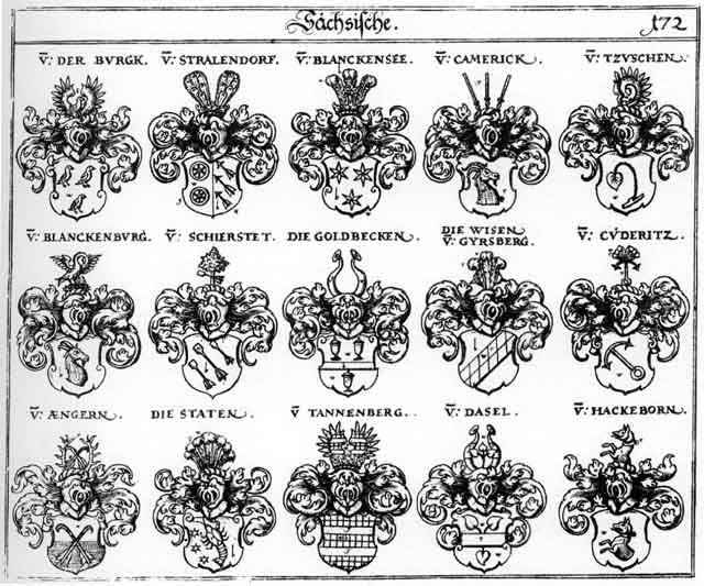 Coats of arms of Aengern, Blanckenburg, Blanckensee, Burck, Burcken, Cuderitz, Dasel, Dassel, Goldbecken, Hackeborn, Schierstet, Staden, Staten, Stralendorff, Tzuschen, Wiese, Wisen