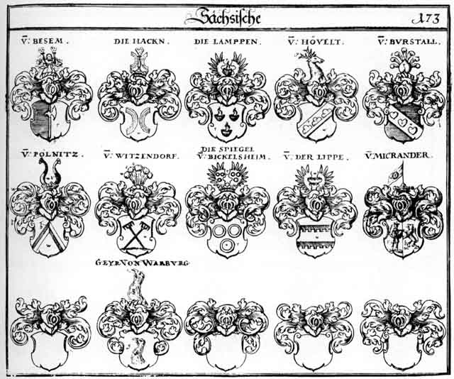 Coats of arms of Besem, Burstall, Hack, Hacken, Hackhen, Hagken, Höveit, Lamppen, Micrander, Paelnisz, Paelnitz, Polnitz, Spiegel, Spigel, V der Lippe, Witzendorff