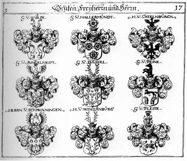 Coats of arms of Catelnburg, Dasel, Dassel, Hallermundt, Peine, Plesse, Ringelheim, Schwaningen, Wintzenburg, Woelpe, Wölpe
